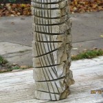 IMG_0773_web