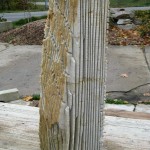 IMG_0777_web-h