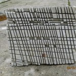 IMG_0779_web