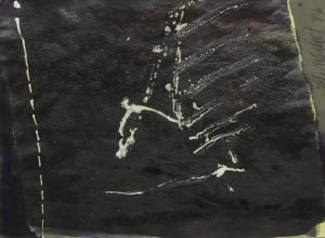 IMG_8562
