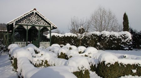 Wintergarten, Peter Manhal